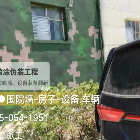 菏泽数码迷彩漆施工